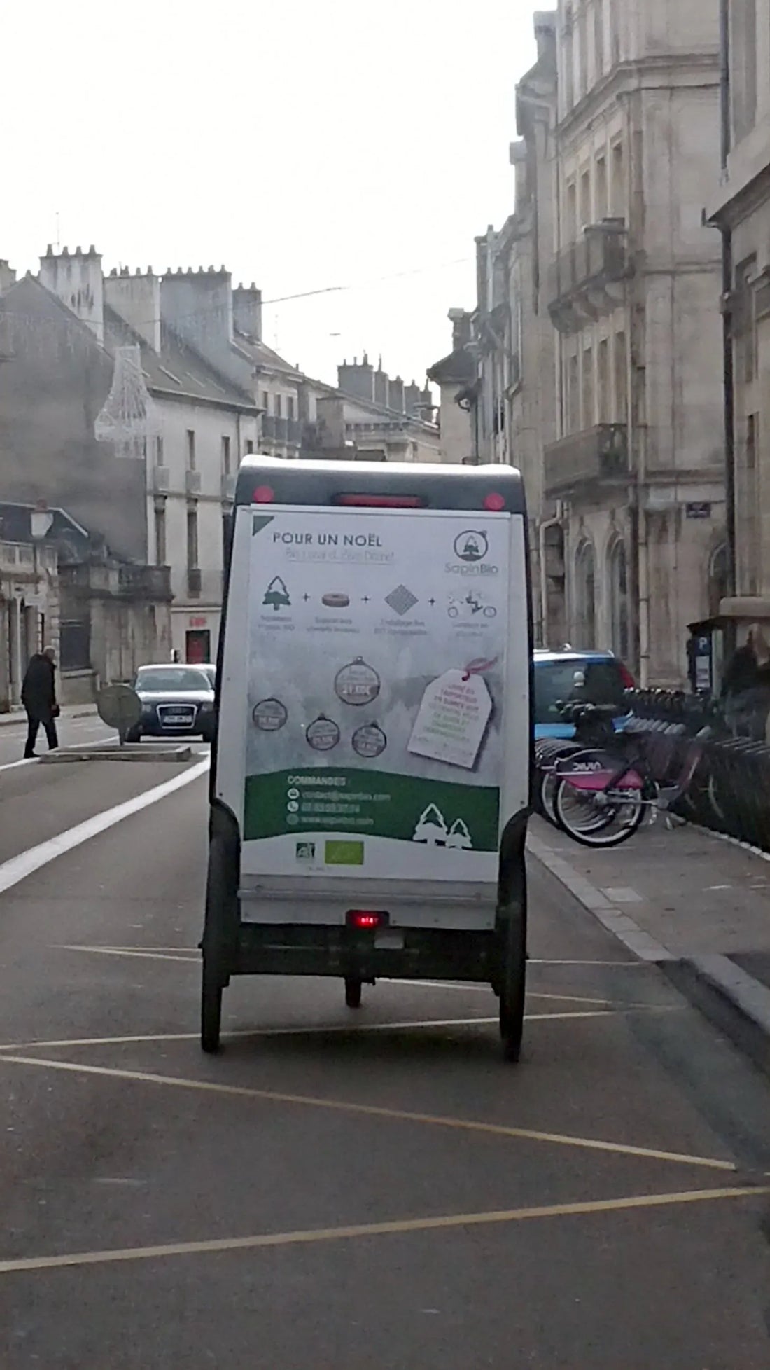 Livraison Dijon de sapins de Noël bio