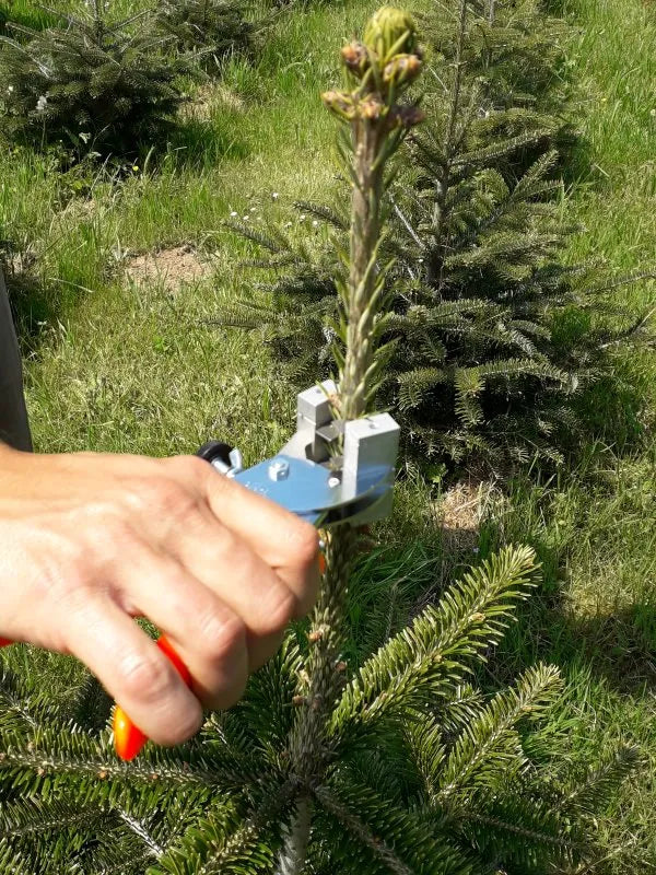 Pince stop stop pour sapins de Noël