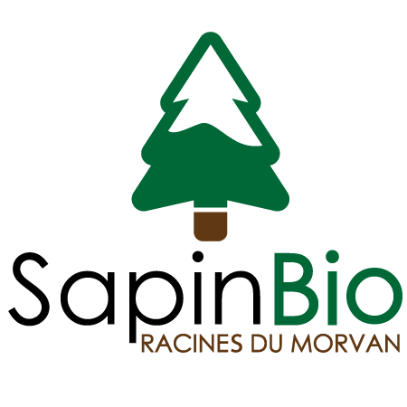 sapin de noel bio livre domicile